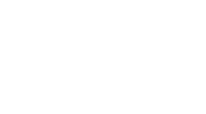The American Logo